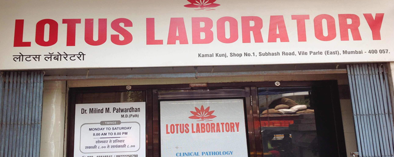 Lotus Laboratory 